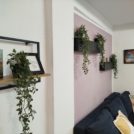Apartment Jazbina Pula Exterior foto